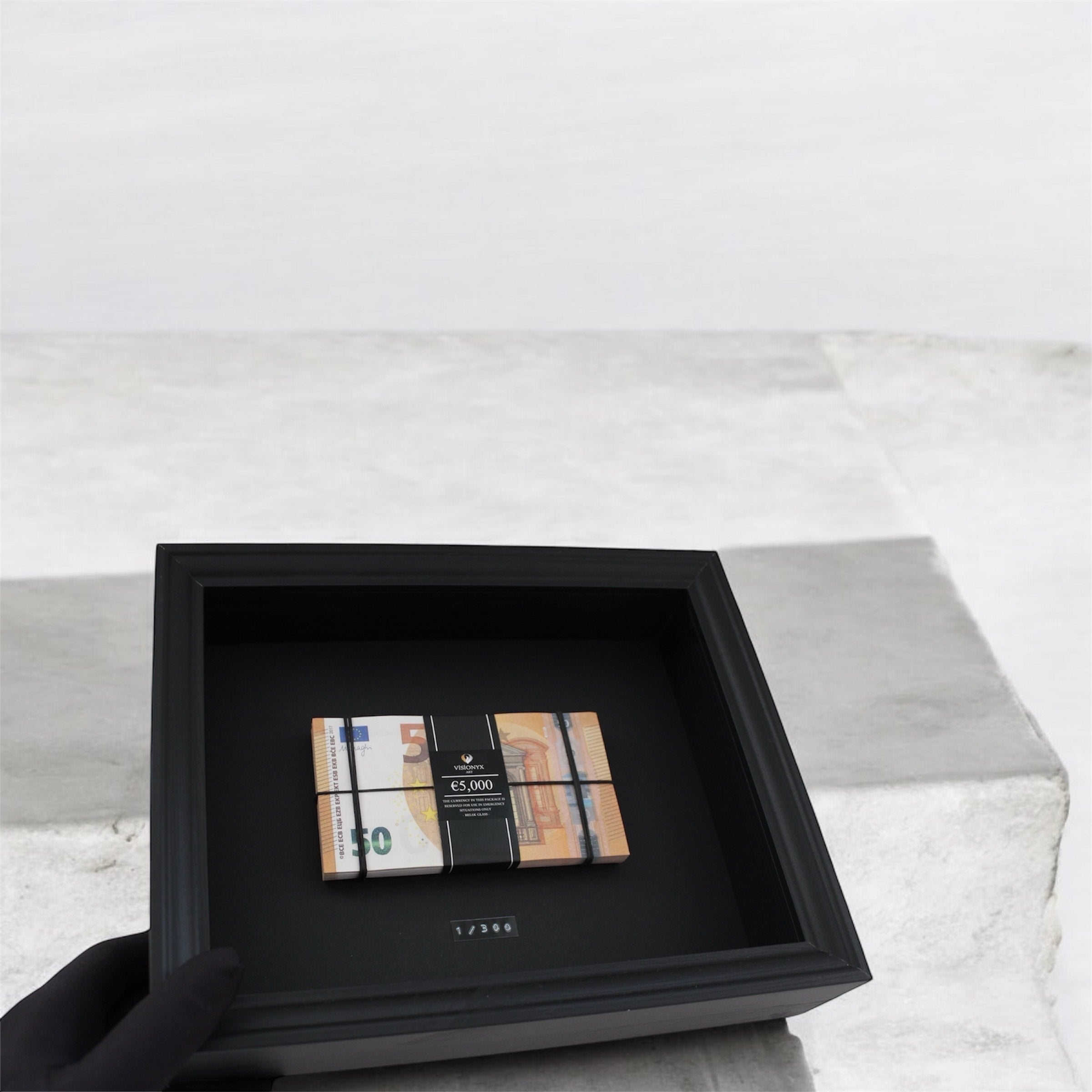 Vision Seal 5.000 EUR – Limited Edition